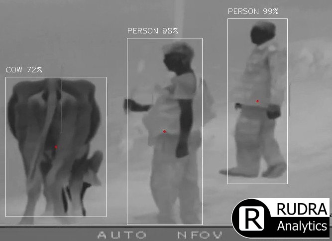 Person and cattle detection